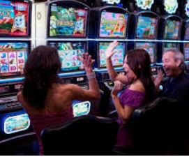 ledong网页版入口正式版